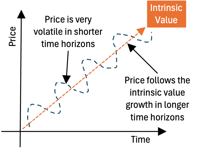 Warren Buffett intrinsic value calculator - Volatility